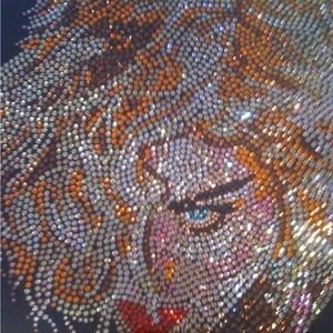 MADONNA PROMOTIONAL REINVENTION TOUR INSIDE PACKING FROM 2004 MINT !!